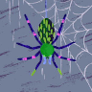 Meet your Posher, Trinity